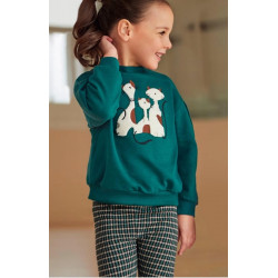 Conjunto sudadera verde...