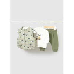 Conjunto chaleco bosque...