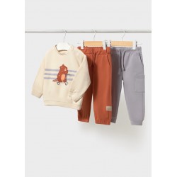 Chándal sudadera castor con...
