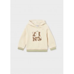 Sudadera capucha dino bebé...